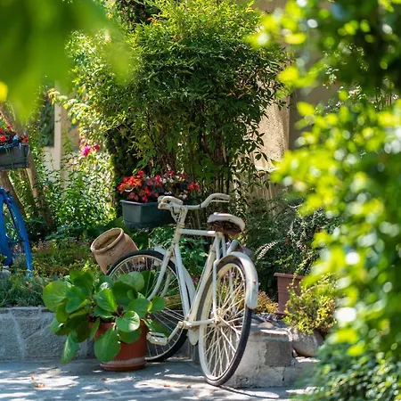 Mery Oda ve Kahvaltı 4*