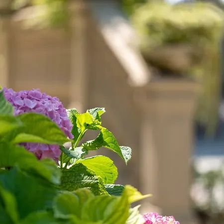 Oda ve Kahvaltı Mery