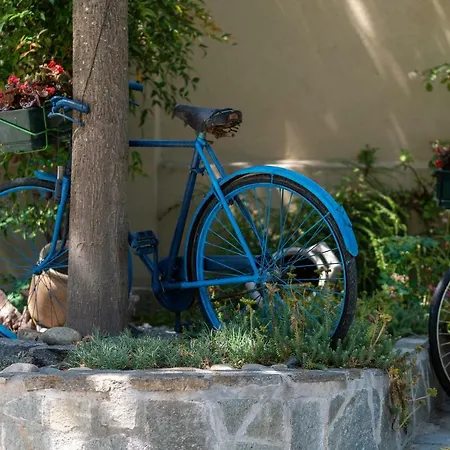 Mery Oda ve Kahvaltı